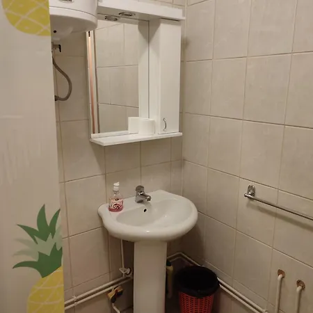 Stojicic بيلا تسركفا