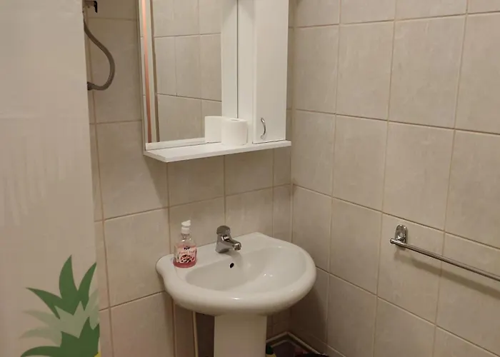 Stojicic Bela Crkva (Banat)